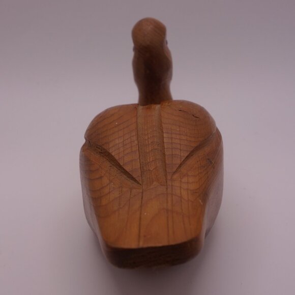 Wood Duck - Picture 9 of 16